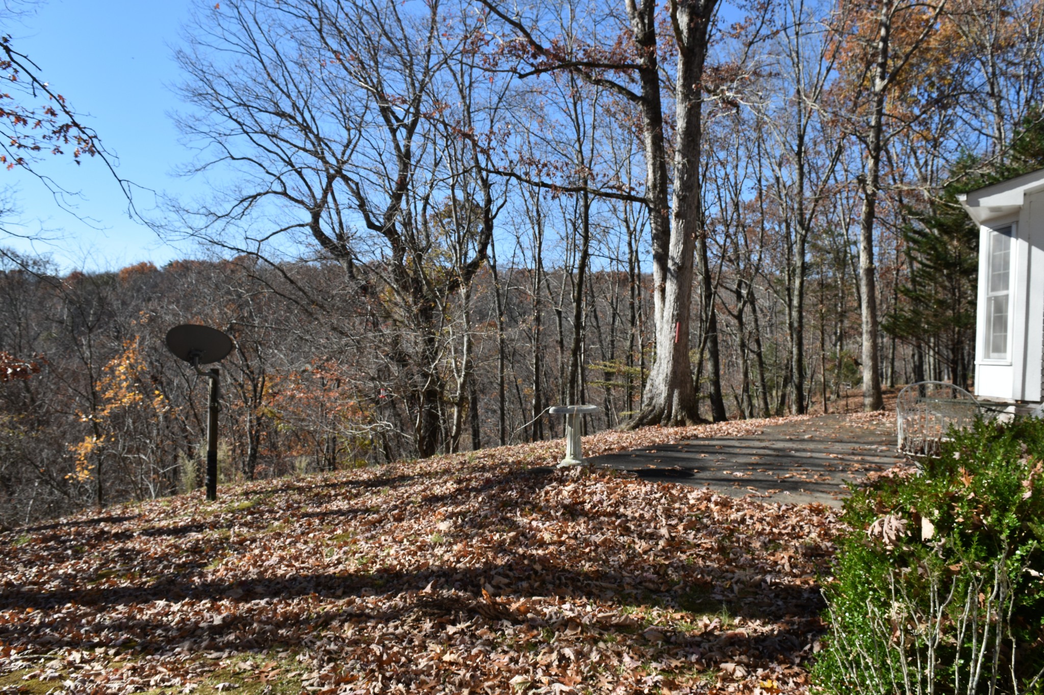 1454 Stagecoach Road Sewanee, TN 37375 - Photo 67 of 71 a view of a backyard of the house