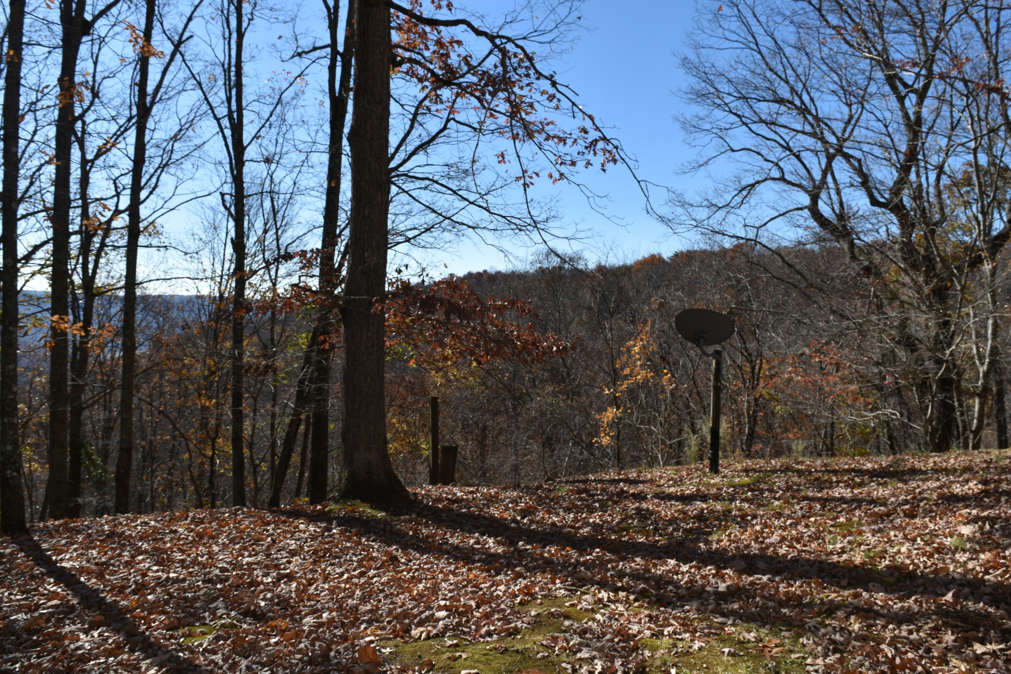 1454 Stagecoach Road Sewanee, TN 37375 - Photo 68 of 71 a view of a backyard of the house