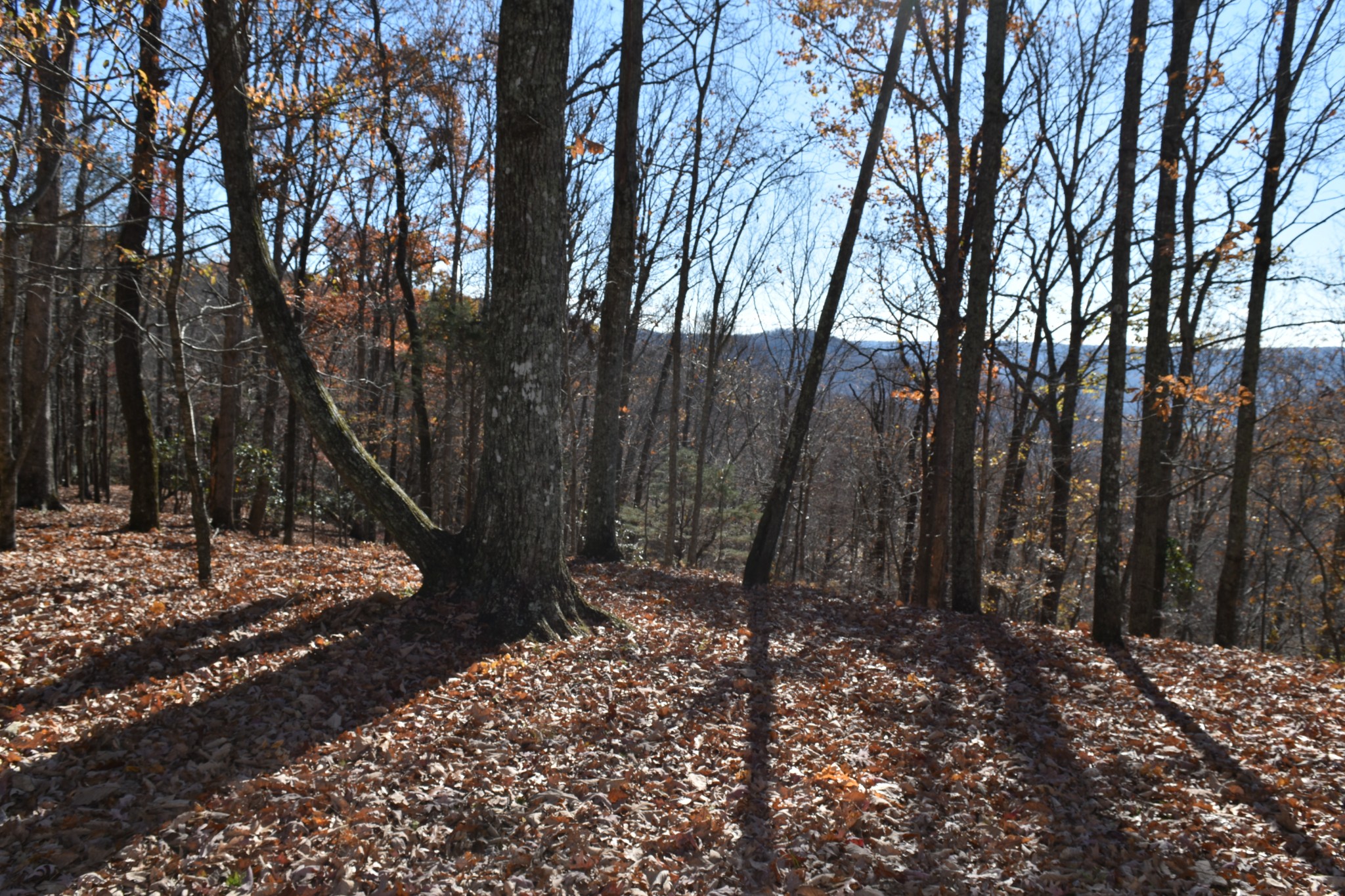 1454 Stagecoach Road Sewanee, TN 37375 - Photo 70 of 71
