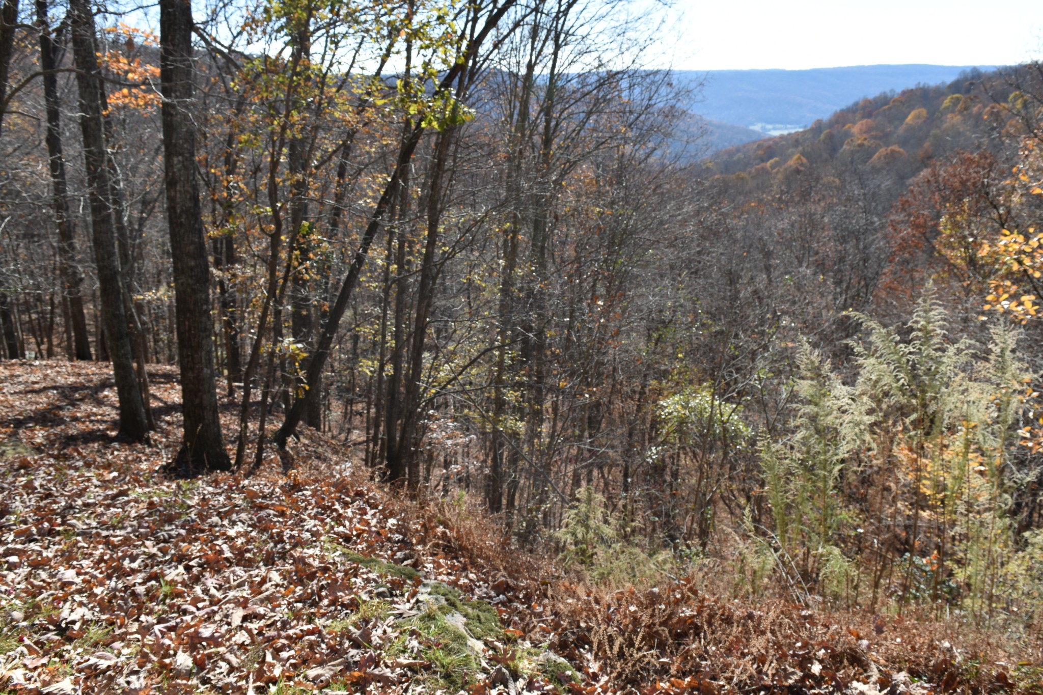 1454 Stagecoach Road Sewanee, TN 37375 - Photo 71 of 71