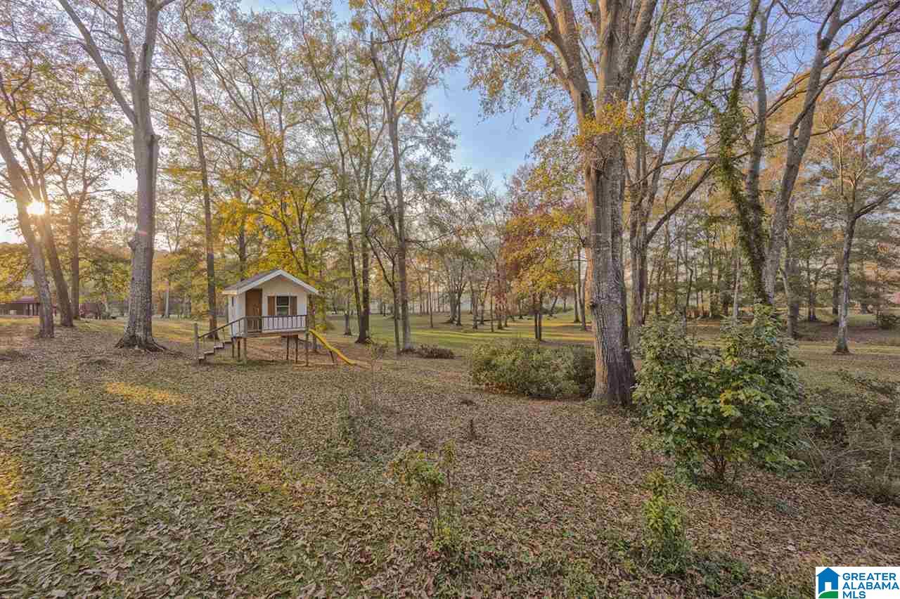 145 River Run Road Childersburg, AL 35044 - Photo 44 of 49