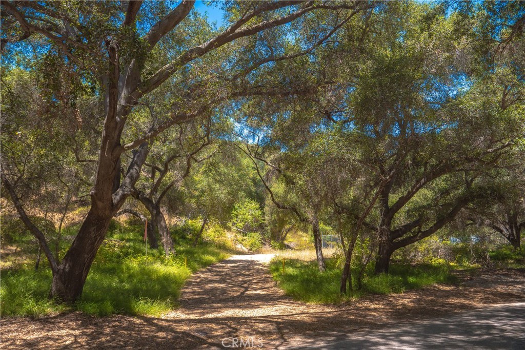 3738 Camaron Road Temecula, CA 92590 - Photo 23 of 40 Entry to the Wells on De Luz Road with