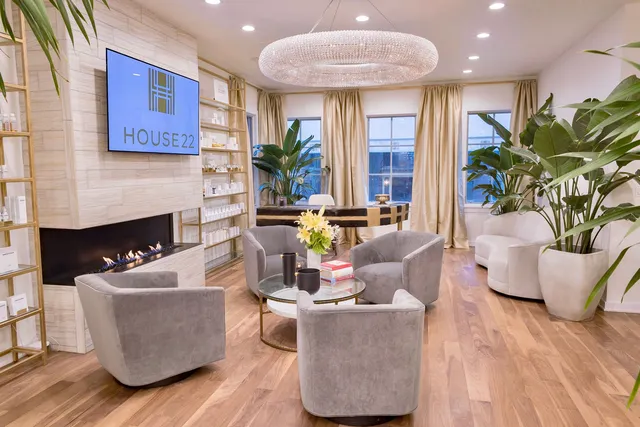 $7,995,000 | 22 East Elm Street, Chicago, IL 60611