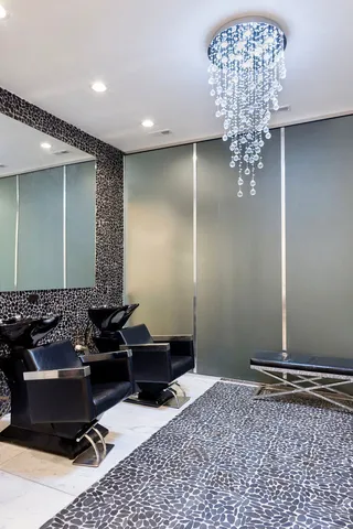 $7,995,000 | 22 East Elm Street, Chicago, IL 60611