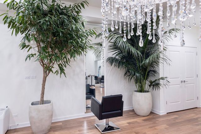 $7,995,000 | 22 East Elm Street, Chicago, IL 60611