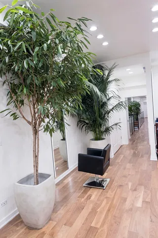 $7,995,000 | 22 East Elm Street, Chicago, IL 60611