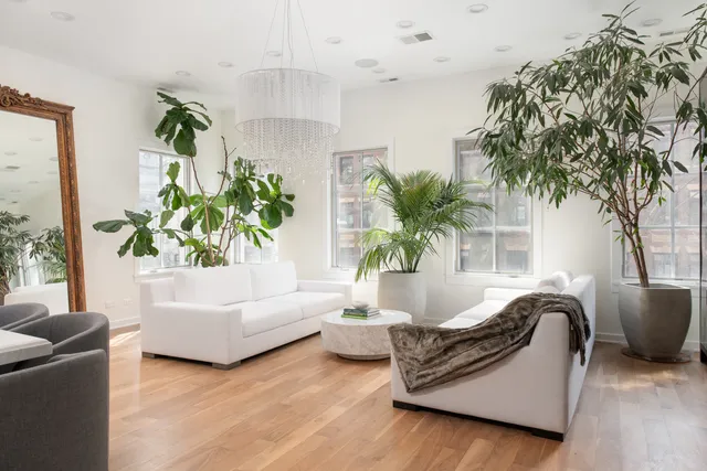 $7,995,000 | 22 East Elm Street, Chicago, IL 60611