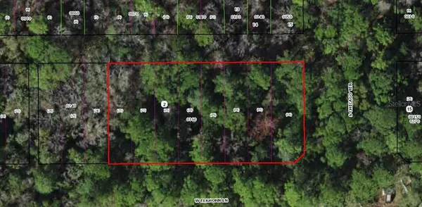 $9,999 | 8733 West Elkhorn Drive, Homosassa, FL 34448