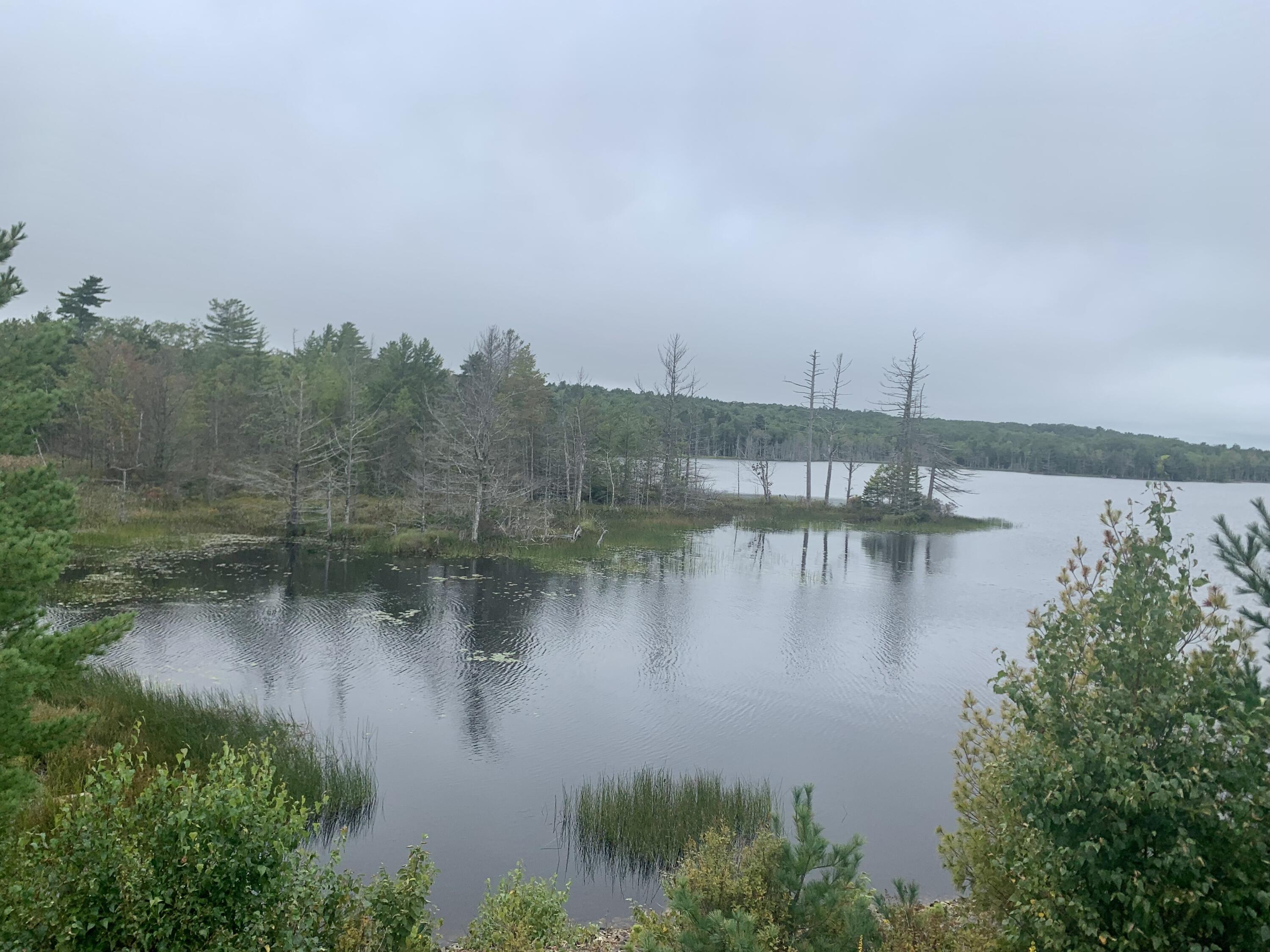 Tbd Grindleville Road Blue Hill, ME 04614 - Photo 41 of 52 Second Pond