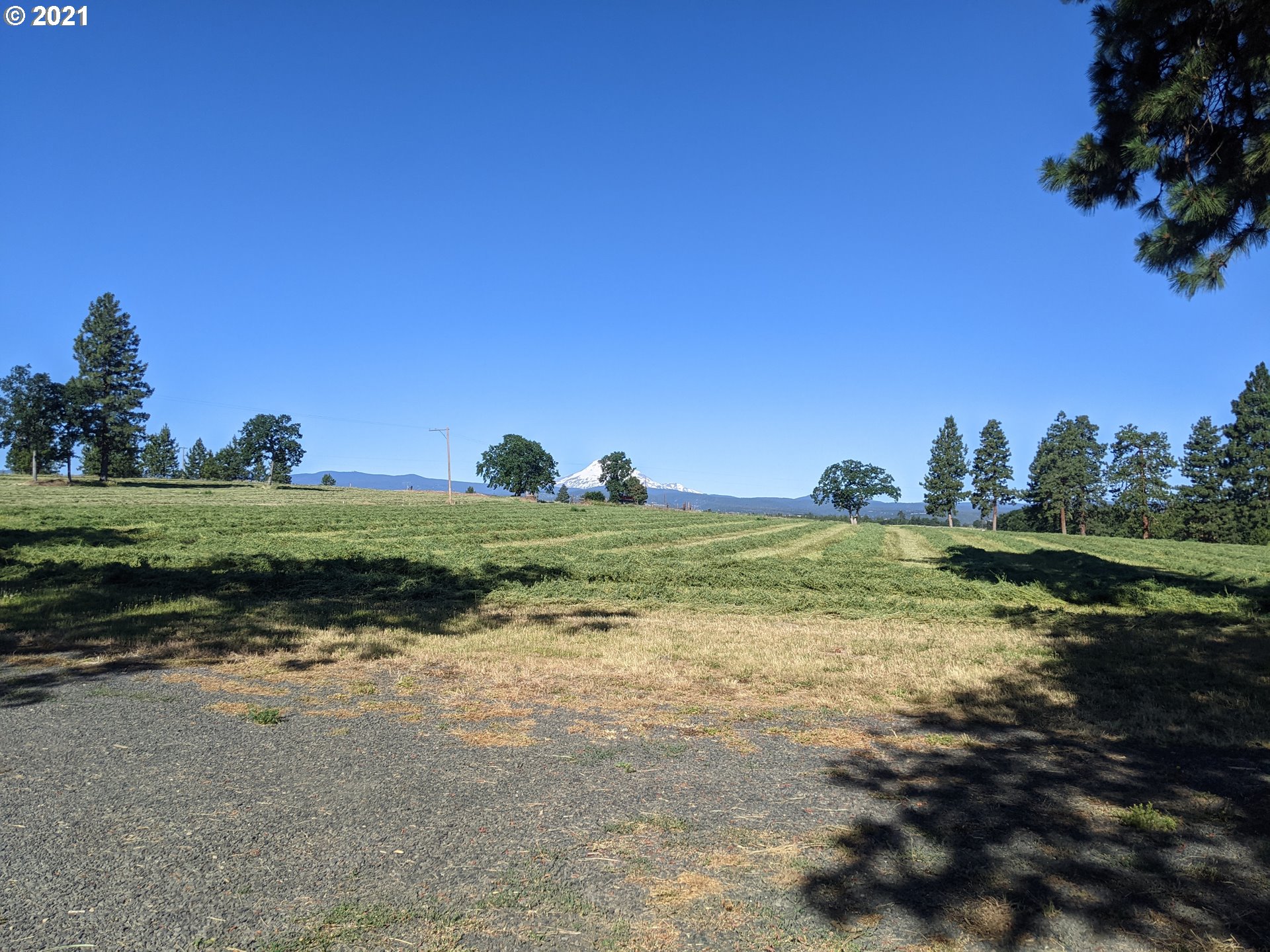 81209 Burtner Road Dufur, OR 97021 - Photo 5 of 27 Gallery Image 5