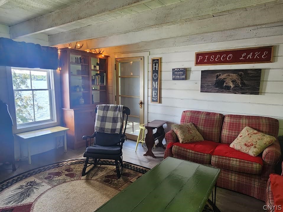 1193 Old Piseco Road Arietta, NY 12139 - Photo 10 of 42