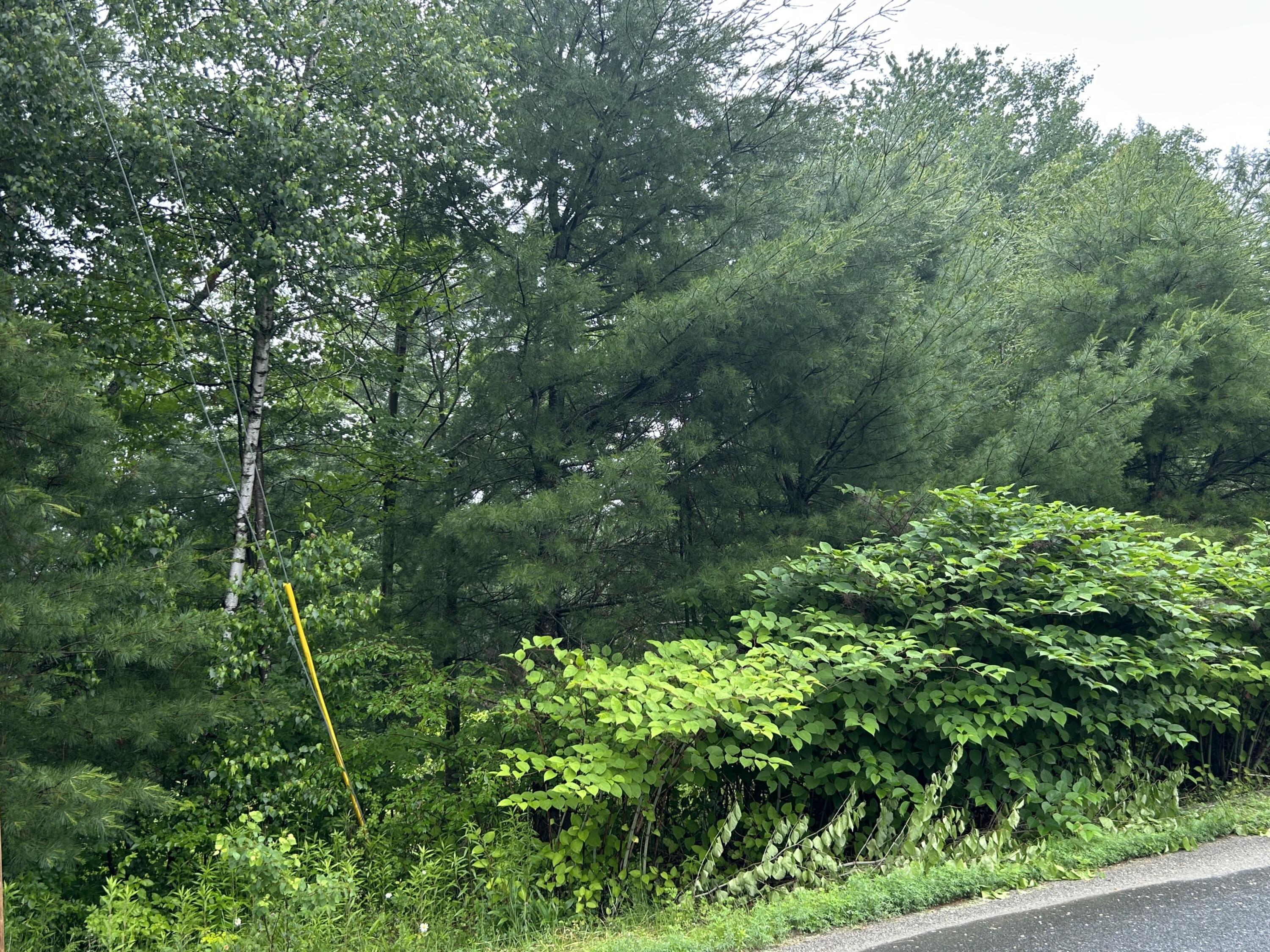 Lot 6 Horseback Road Clinton, ME 04927 - Photo 6 of 13 Road Frontage of larger parcels