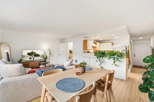 a living room with furniture a potted plant and open kitchen view