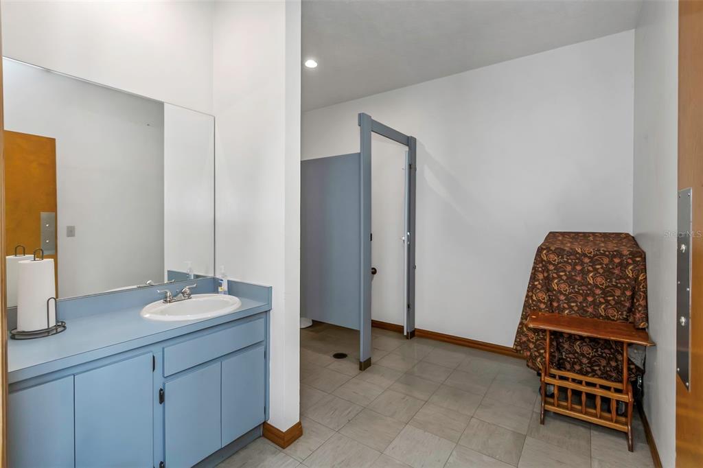 17500 Marsh Road Lutz, FL 33558 - Photo 49 of 80 a bathroom with a sink and a mirror