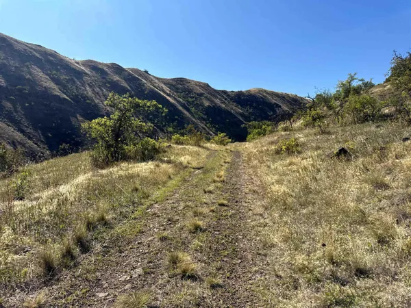 $899,900 | 252 Wingfield Lane, White Bird, ID 83554