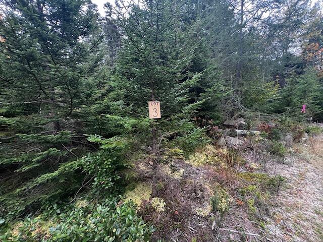 12-3 South Burnt Cove Road Stonington, ME 04681 - Photo 2 of 13 George's Woods Lot#3