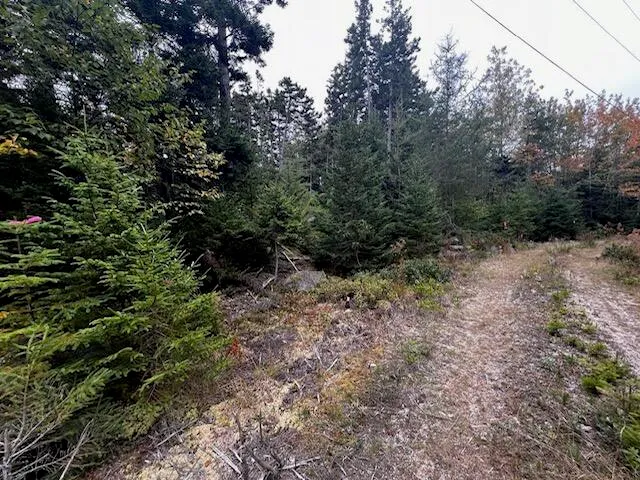 $67,500 | 12-3 South Burnt Cove Road, Stonington, ME 04681