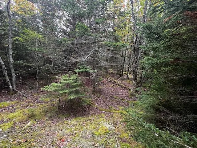 $67,500 | 12-3 South Burnt Cove Road, Stonington, ME 04681