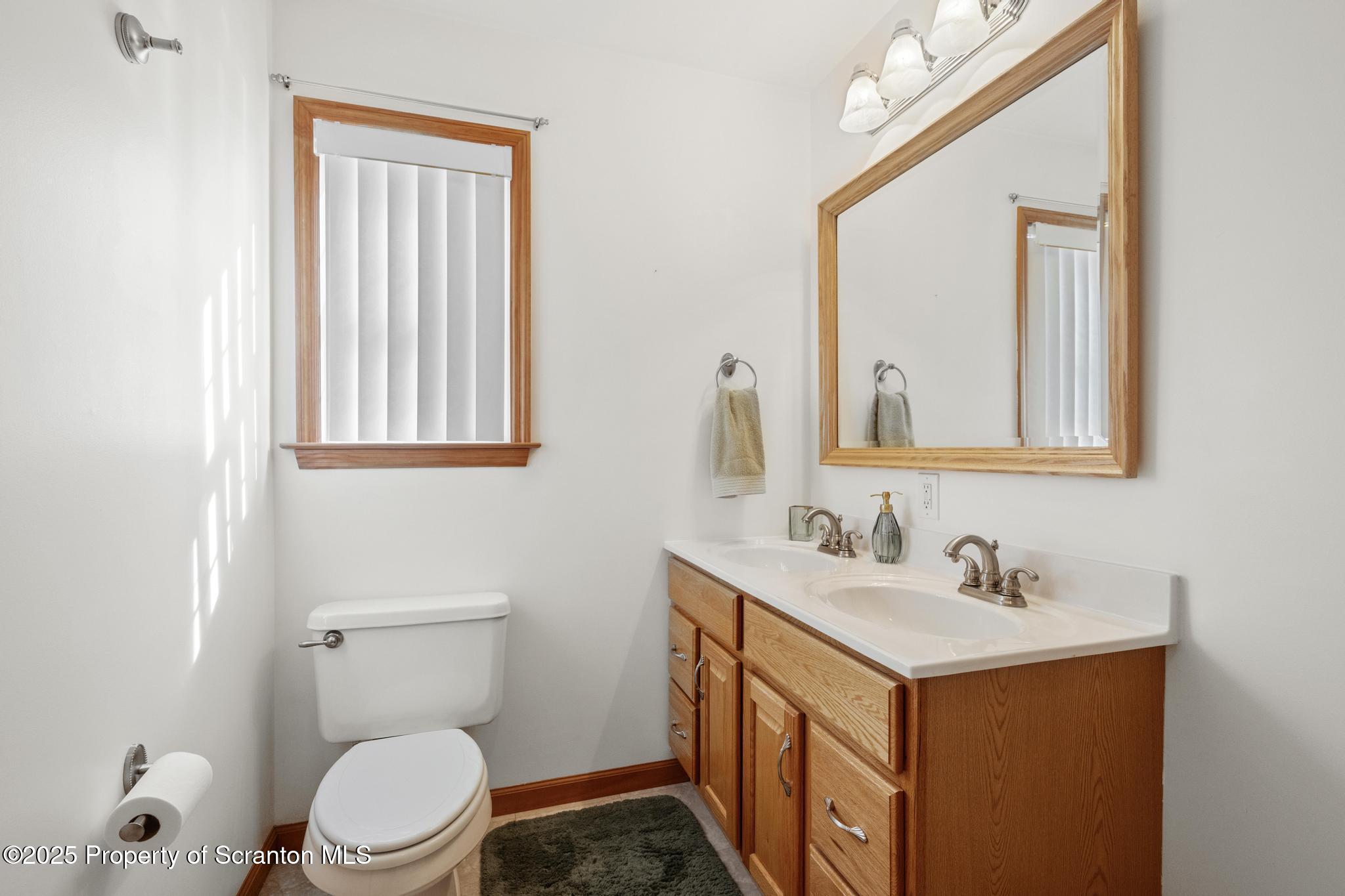 1336 Bush Road Montrose, PA 18801 - Photo 25 of 55 a bathroom with a sink a toilet and a mirror