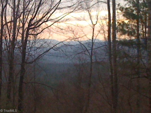 1300 Patton Ridge Road Purlear, NC 28665 - Photo 1 of 2 Main View