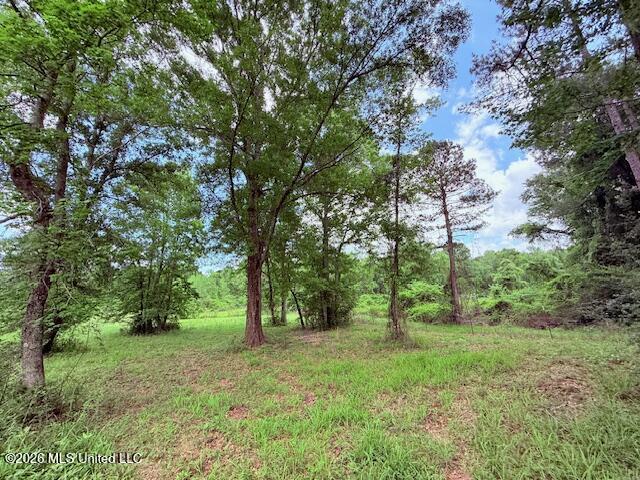 37 Fortenberry Road Tylertown, MS 39667 - Photo 57 of 83 IMG_3690 - Copy