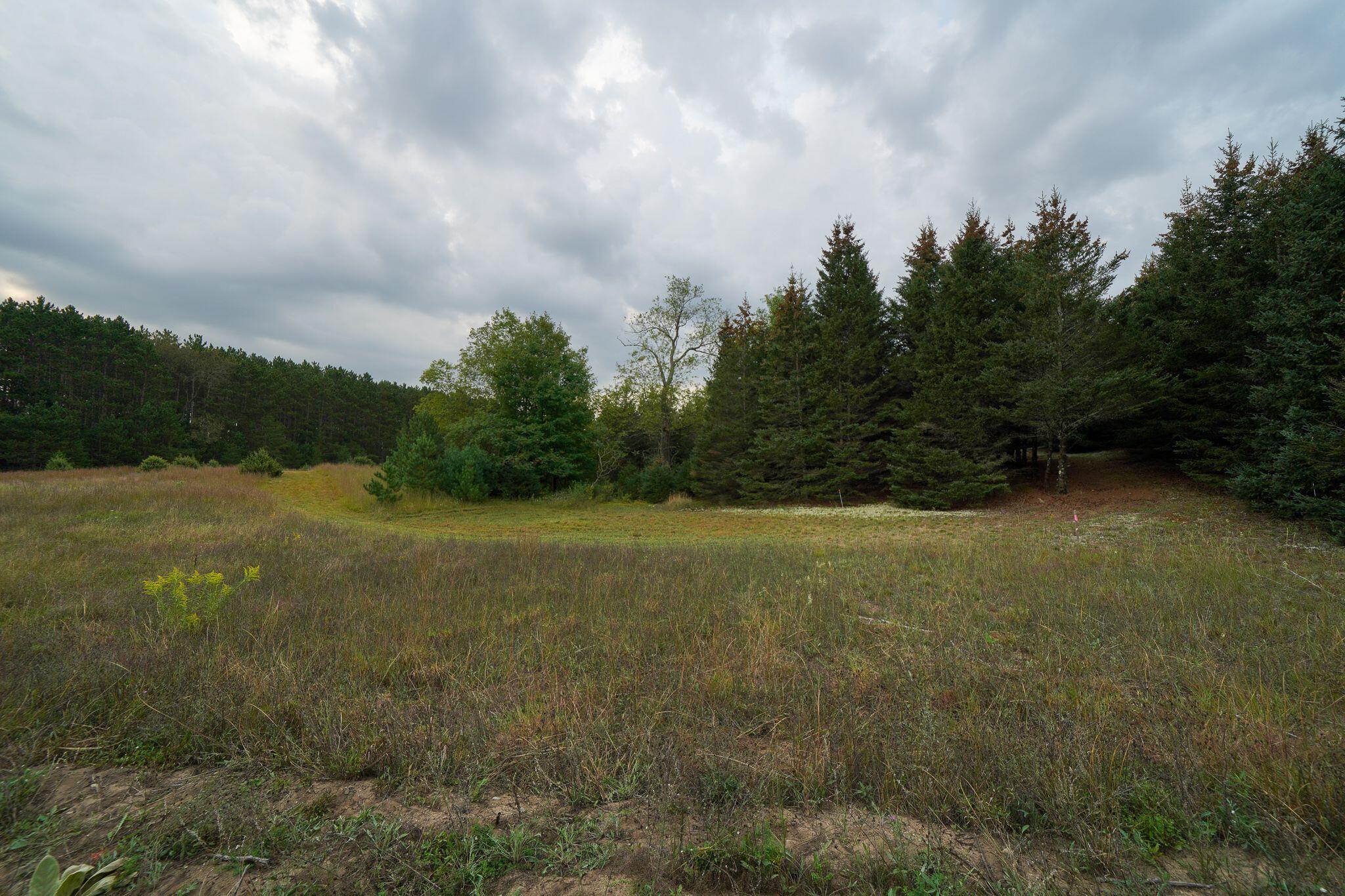 0 210th Avenue Reed City, MI 49677 - Photo 8 of 82 DSC04017