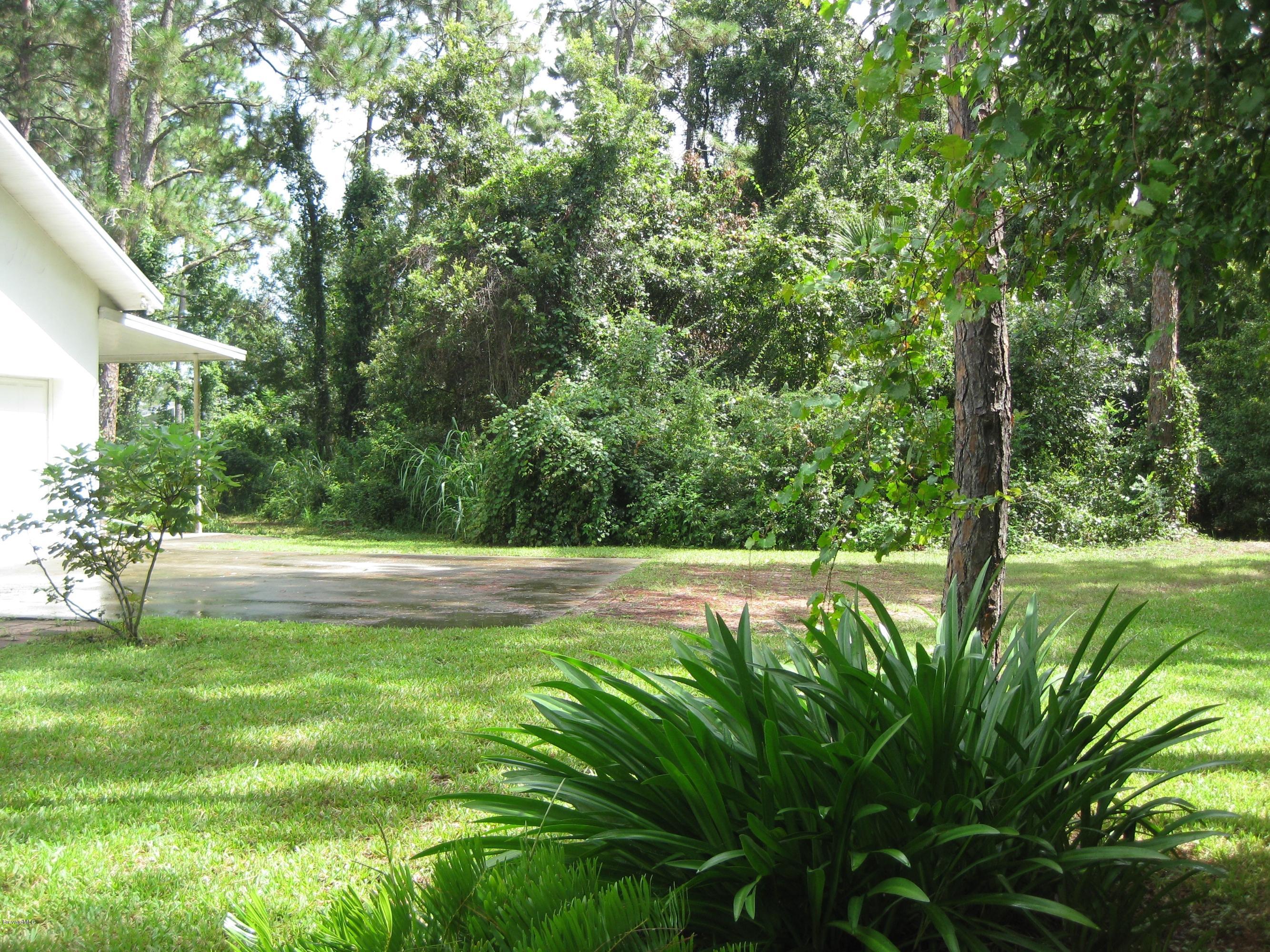 front yard