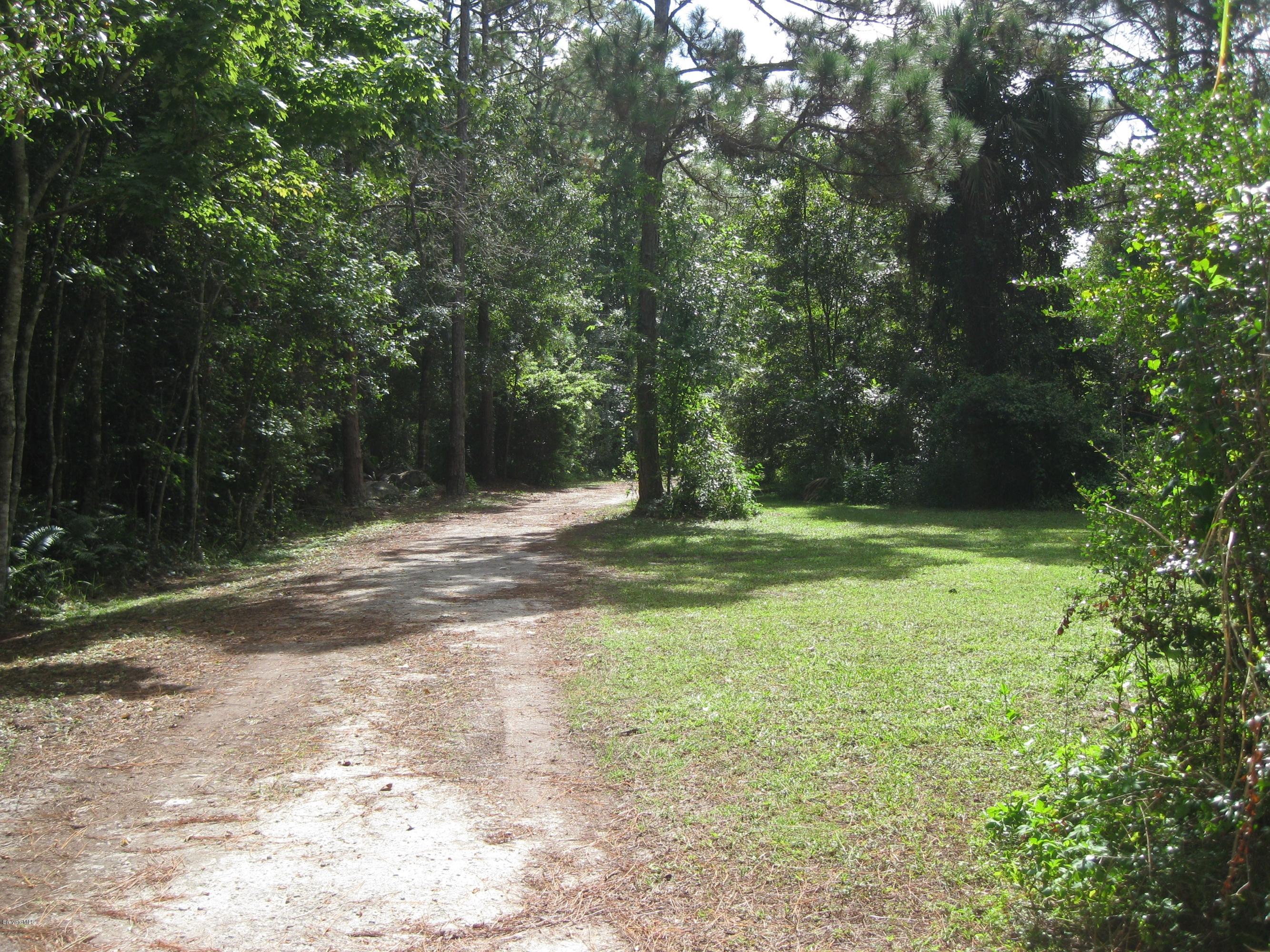 2015 Turpentine Road Mims, FL 32754 - Photo 18 of 22 Secluded Driveway