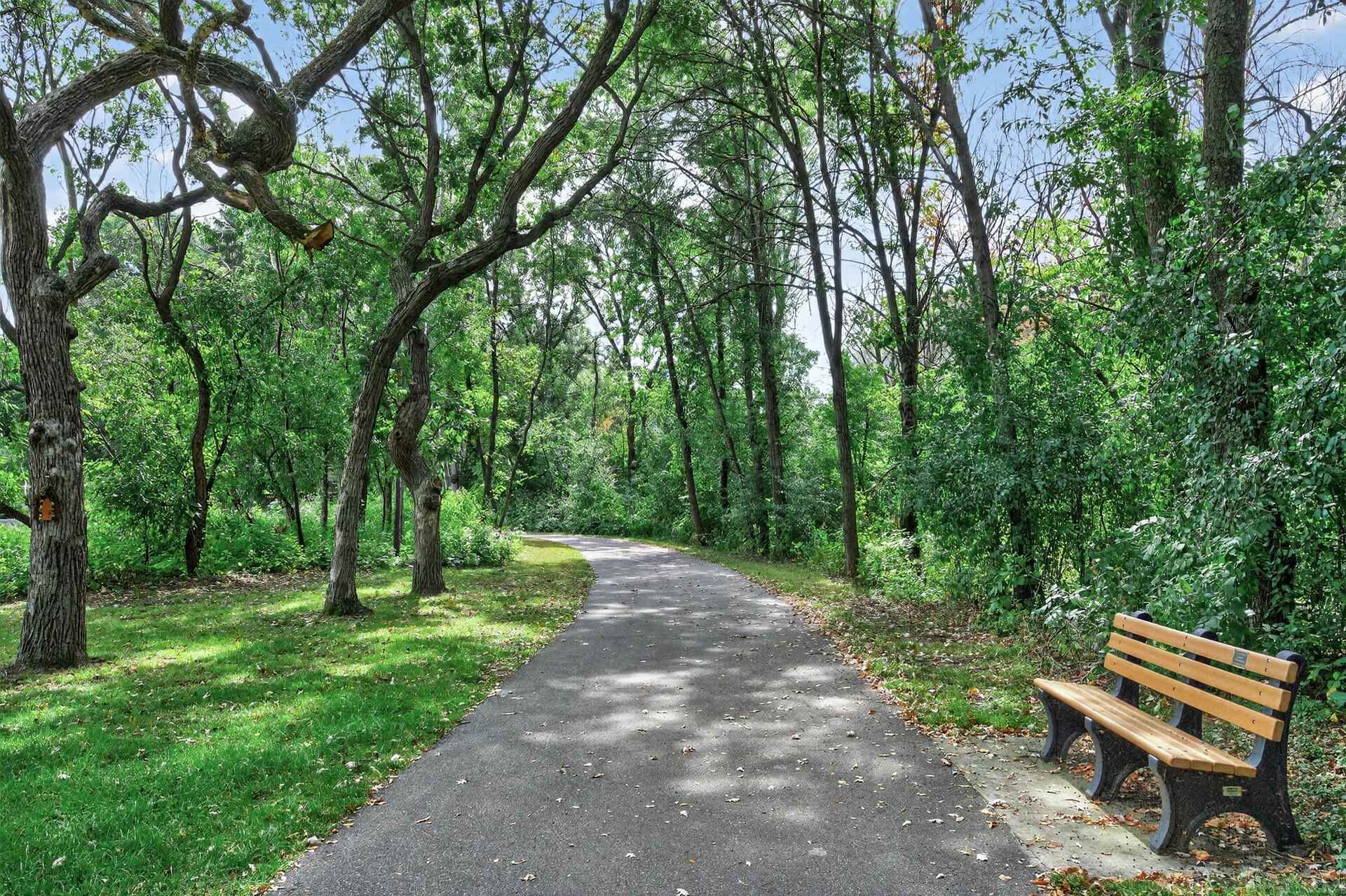 12092 Butternut Street Northwest Coon Rapids, MN 55448 - Photo 49 of 51