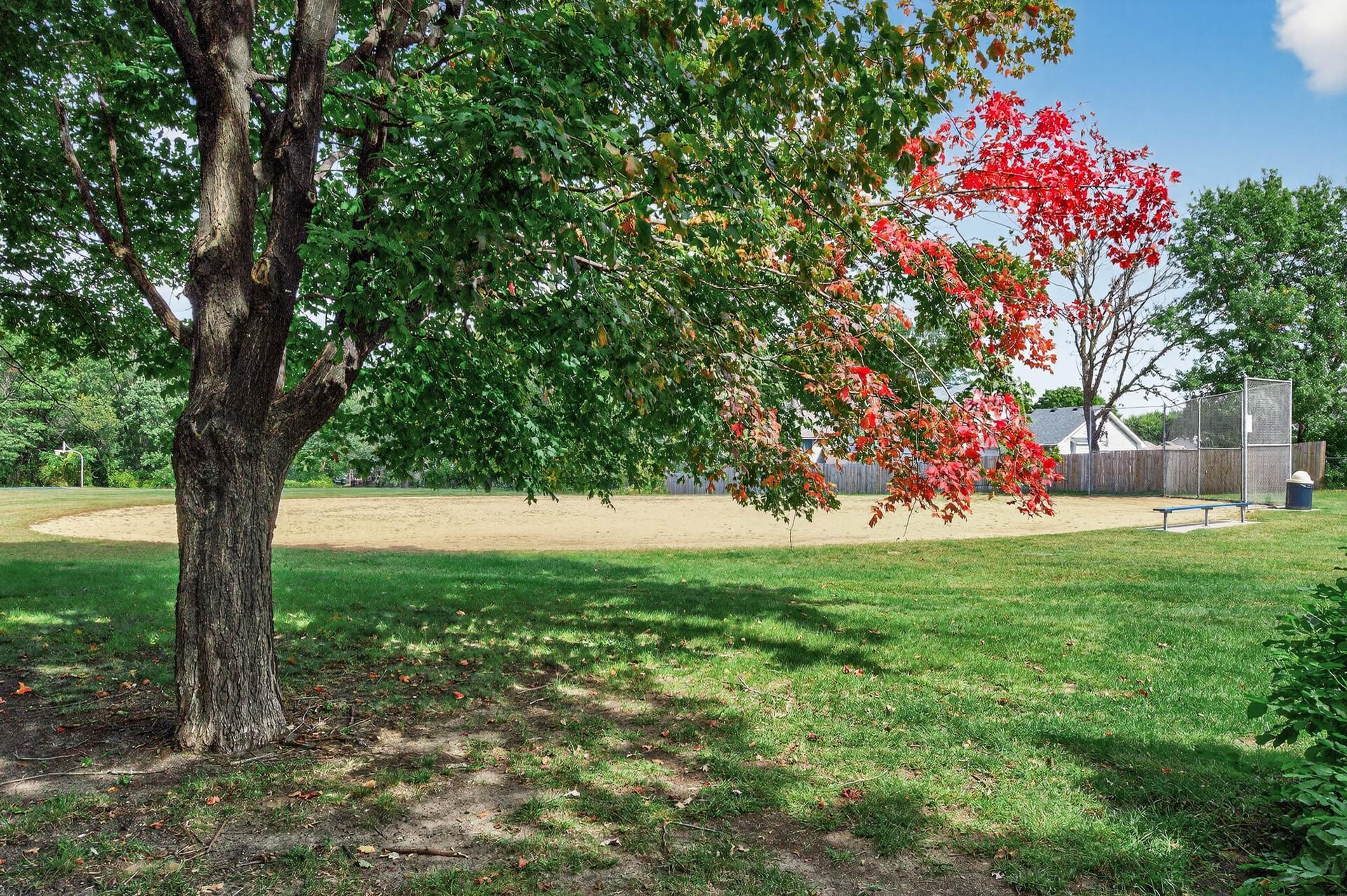 12092 Butternut Street Northwest Coon Rapids, MN 55448 - Photo 50 of 51