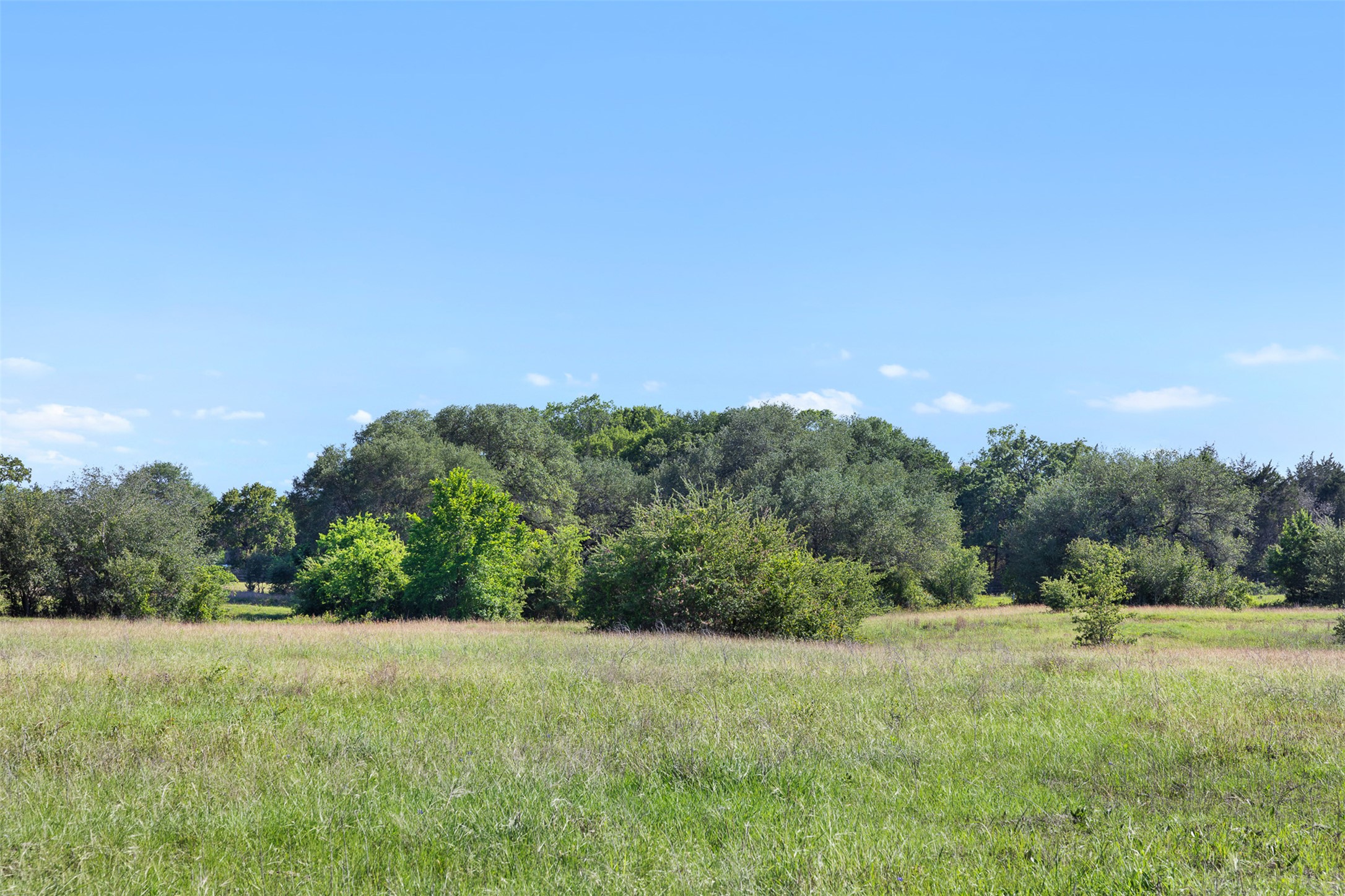 1310 North Nassau Road Round Top, TX 78954 - Photo 11 of 24