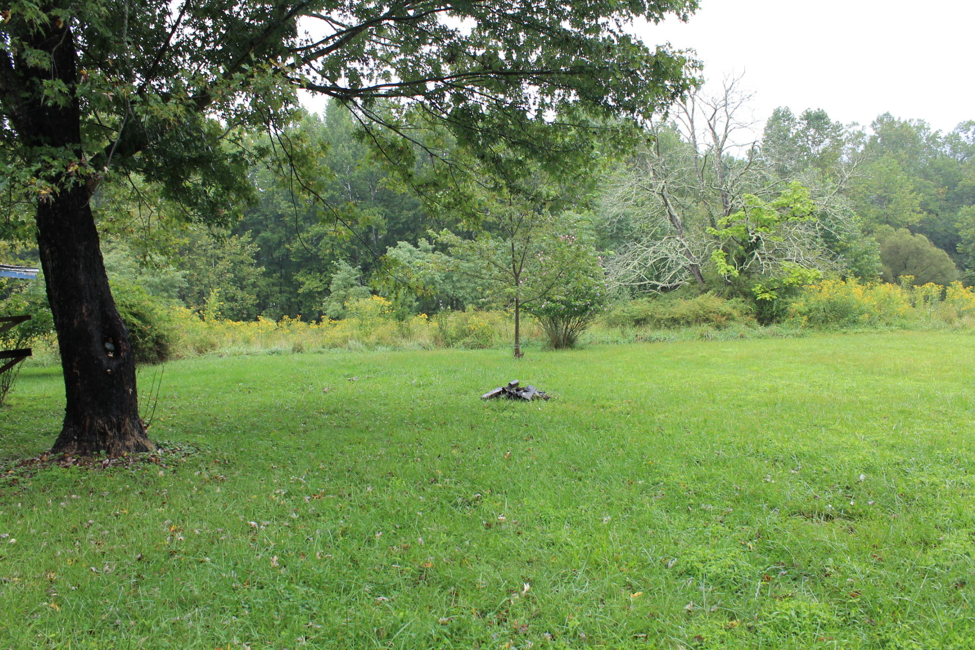 2670 River Road Millboro, VA 24460 - Photo 11 of 11 IMG_2954