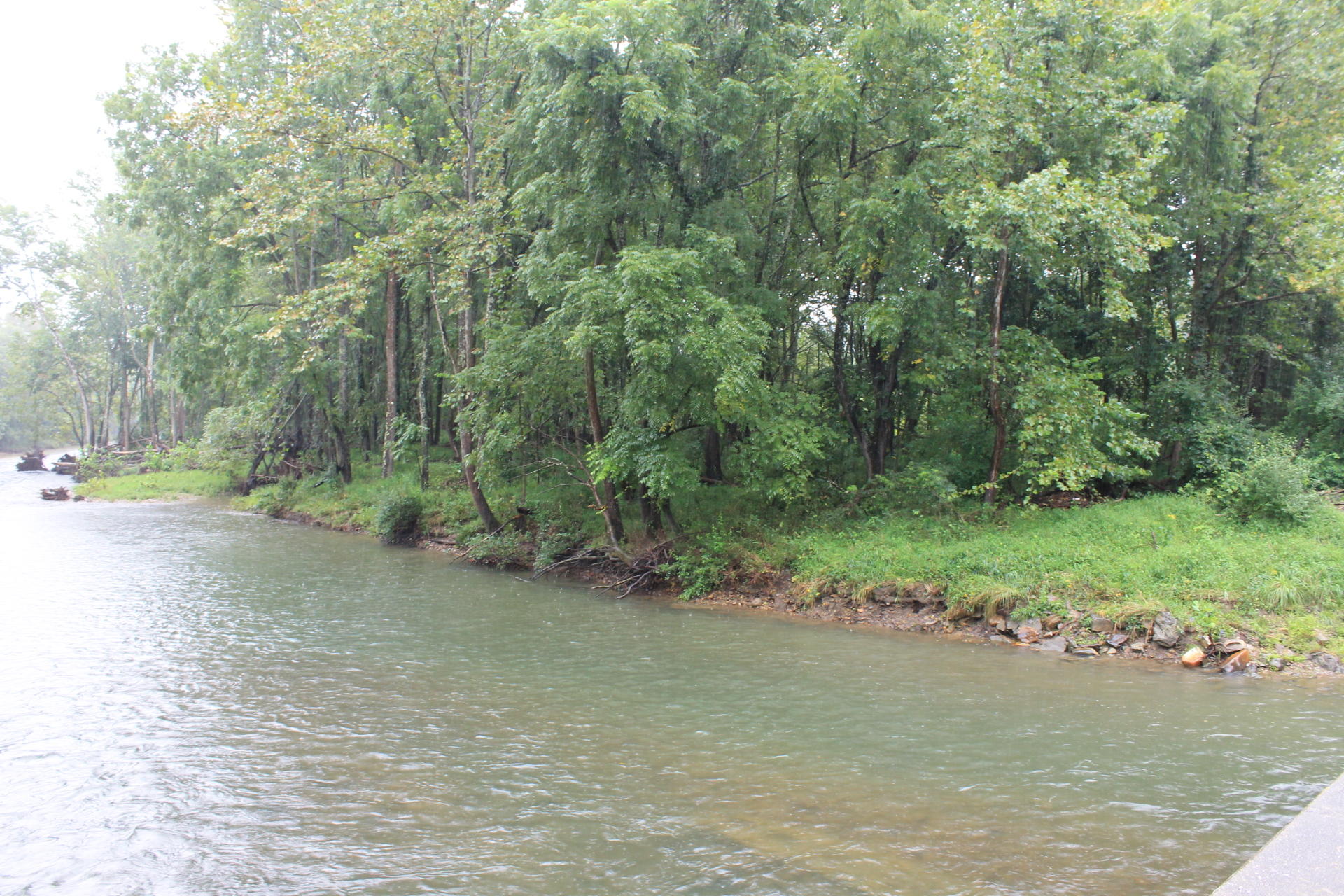 2670 River Road Millboro, VA 24460 - Photo 3 of 11 IMG_2956