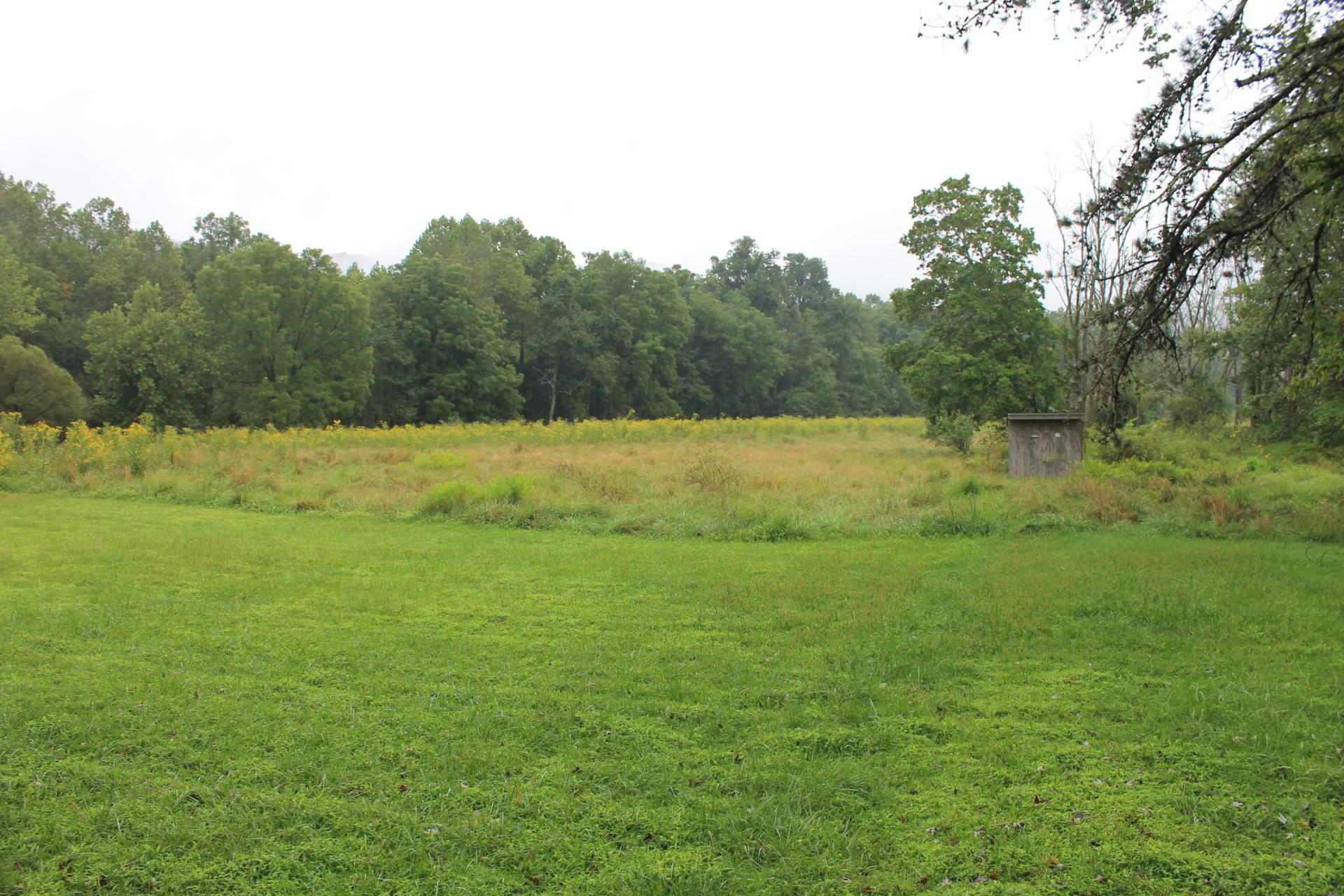 2670 River Road Millboro, VA 24460 - Photo 5 of 11 IMG_2953