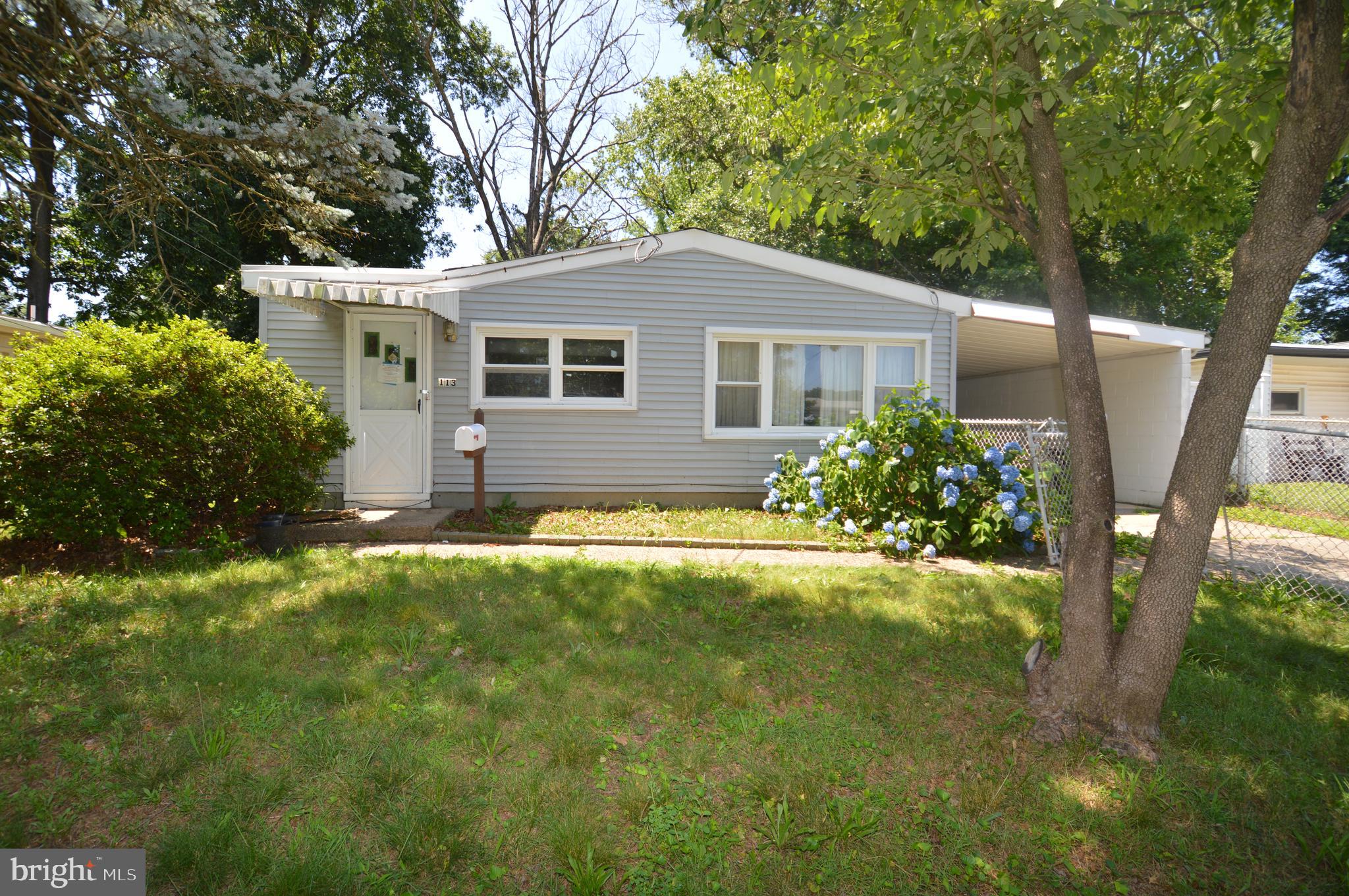 a front view of a house with yard and green space