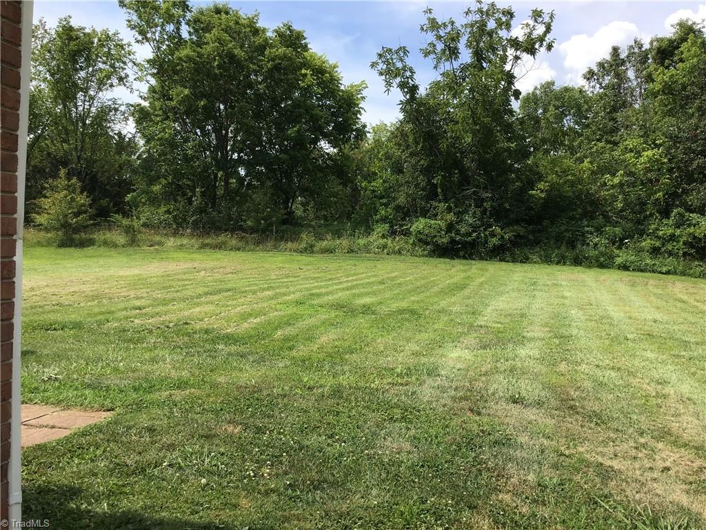 large flat back yard