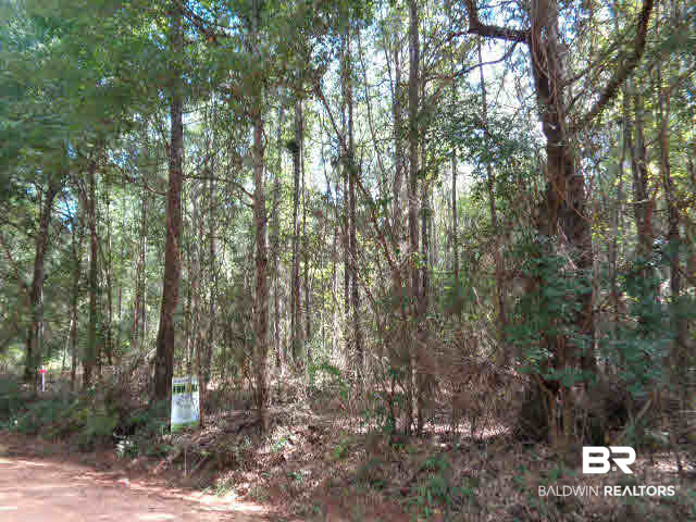 0 Blair Road Brewton, AL 36426 - Photo 2 of 5
