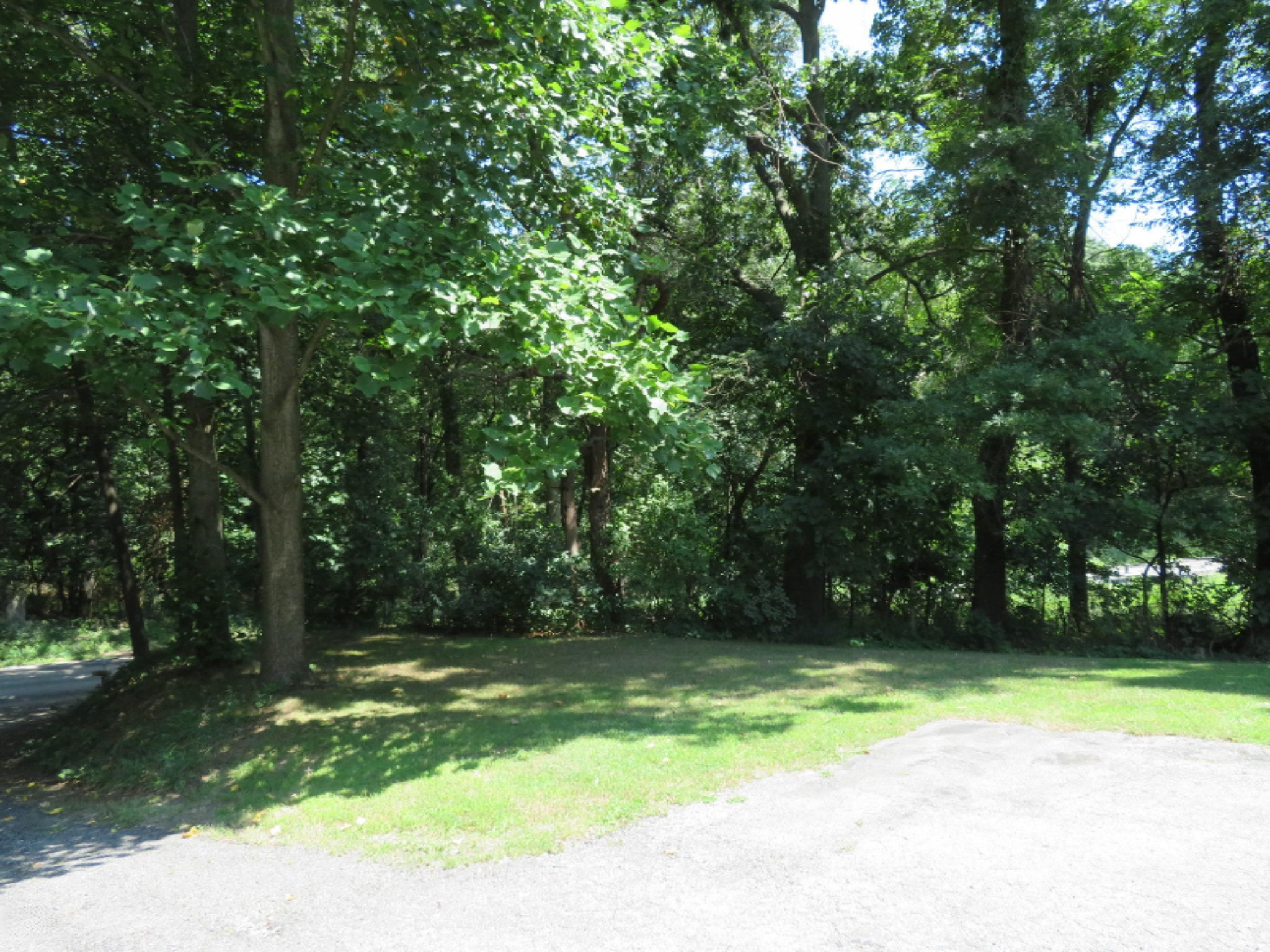 67064 Sherman Mill Road Sturgis, MI 49091 - Photo 15 of 27 Yard