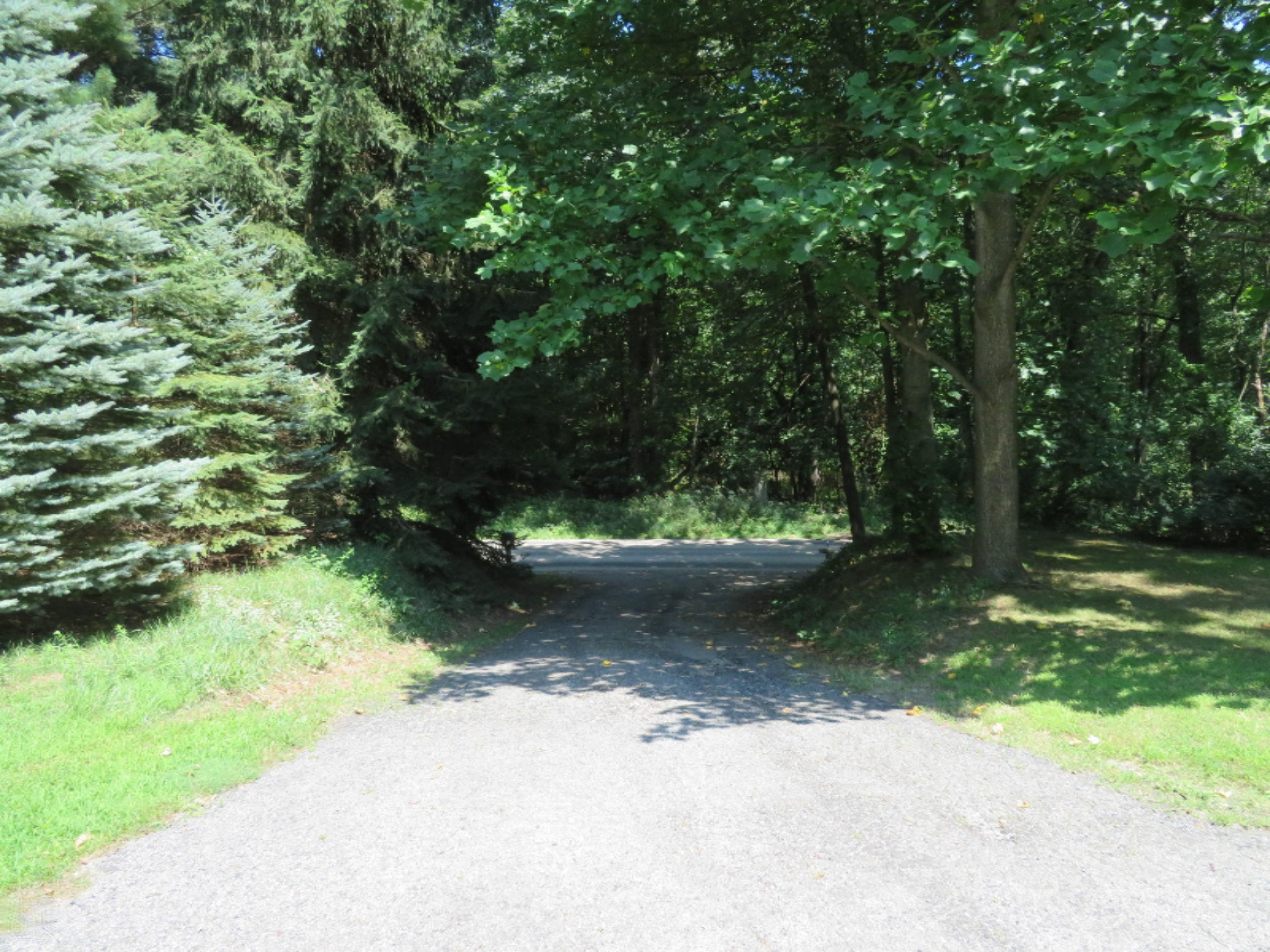 67064 Sherman Mill Road Sturgis, MI 49091 - Photo 16 of 27 Yard