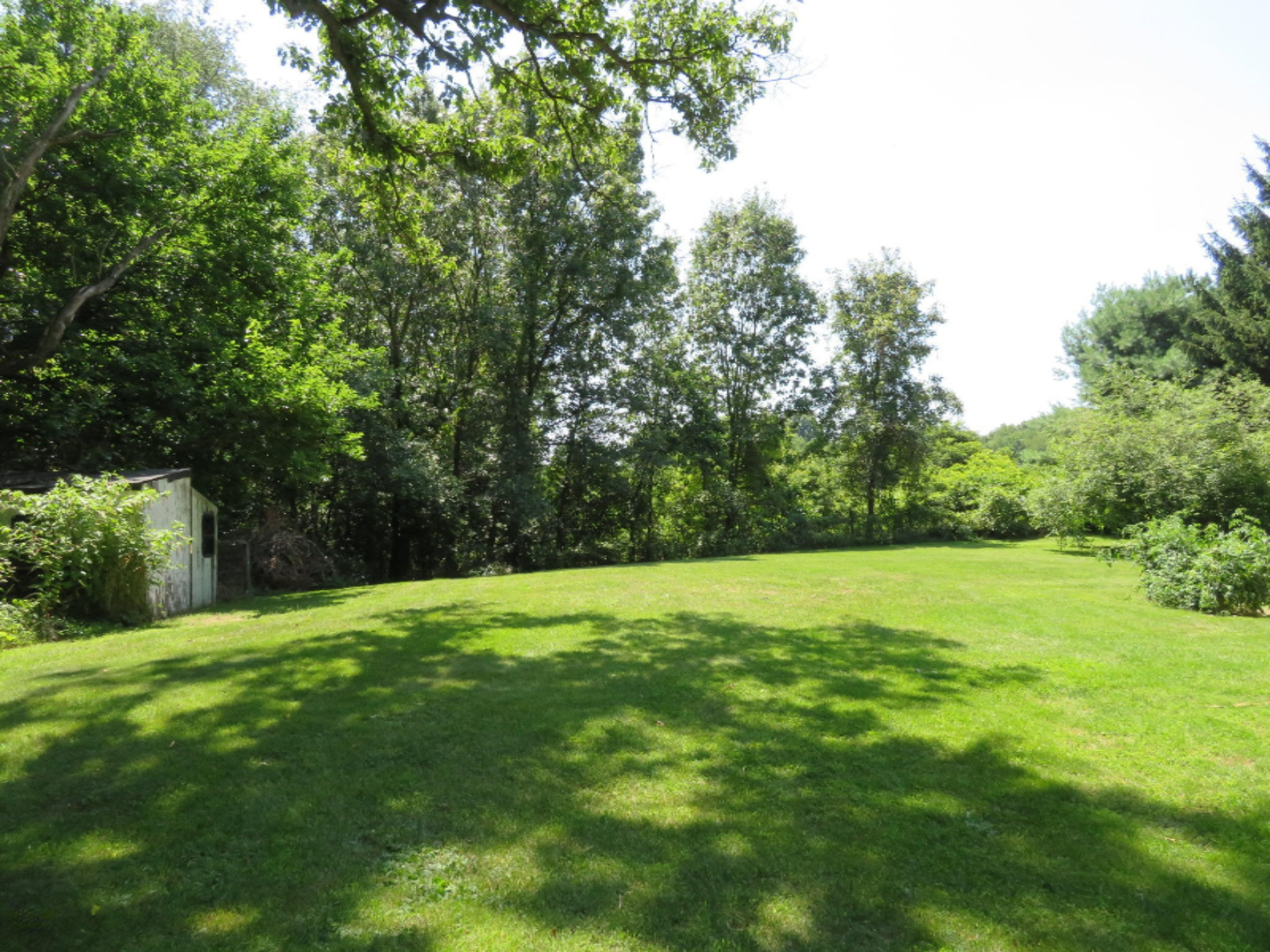 67064 Sherman Mill Road Sturgis, MI 49091 - Photo 20 of 27 Yard