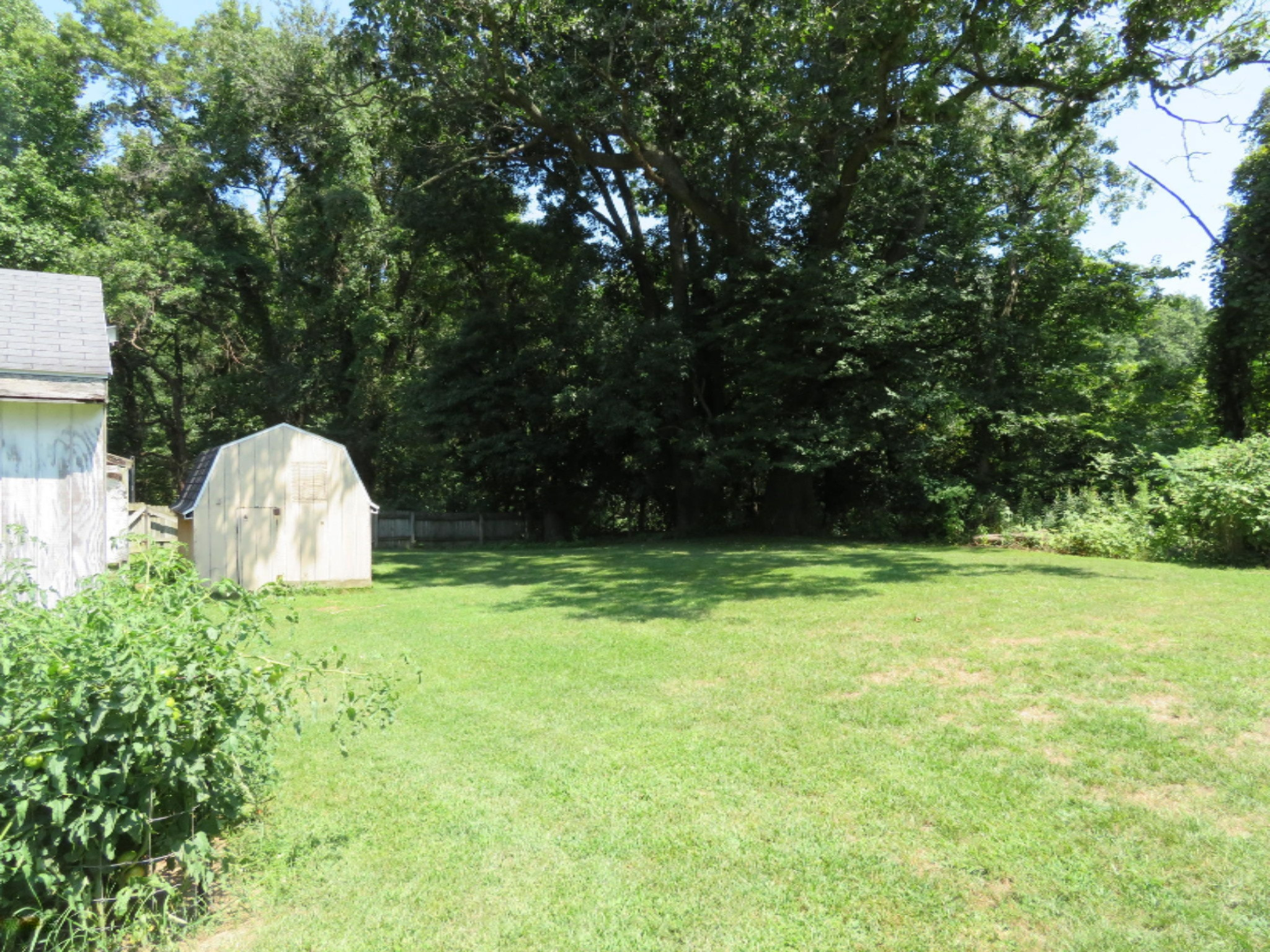 67064 Sherman Mill Road Sturgis, MI 49091 - Photo 24 of 27 Yard