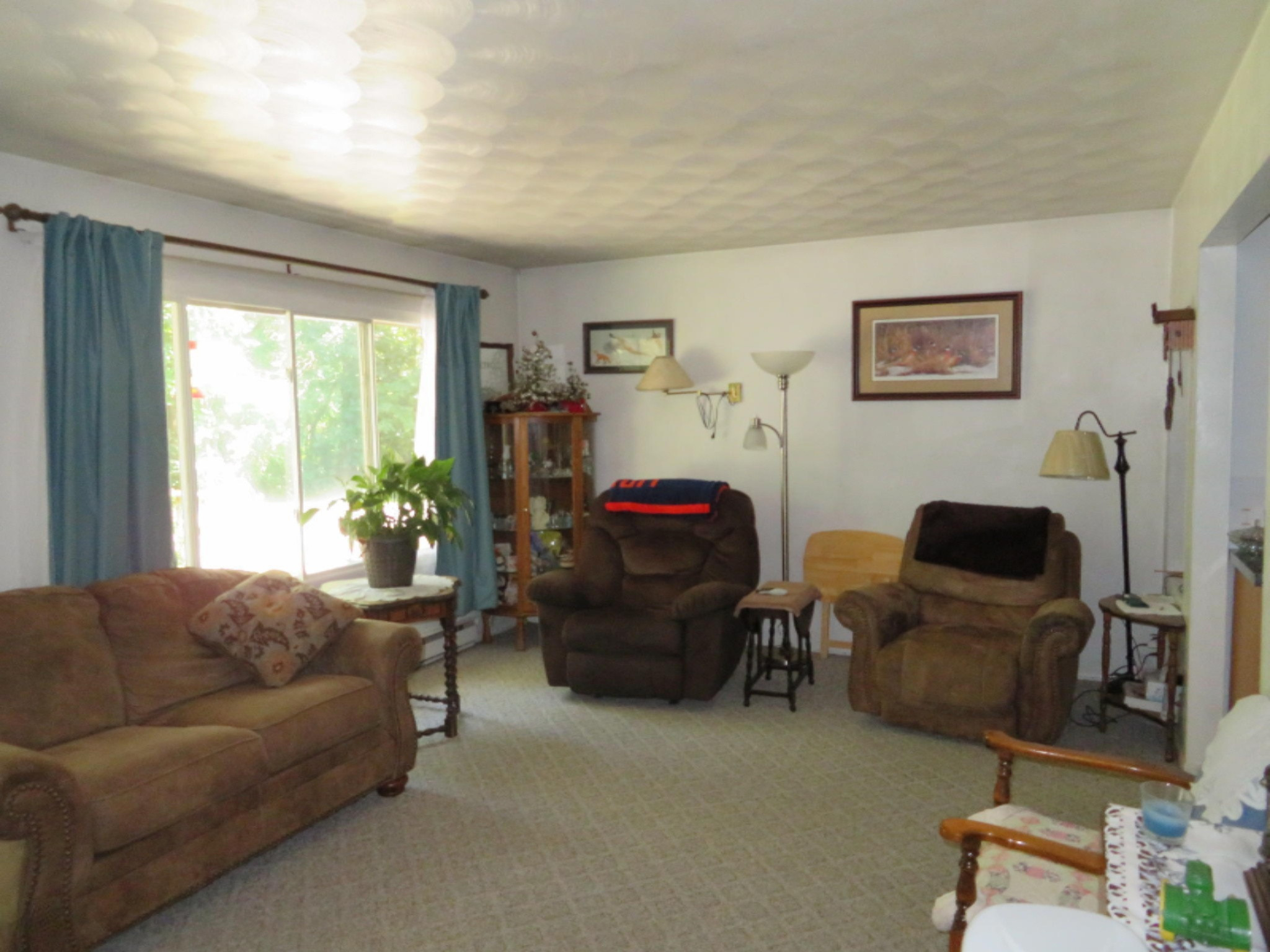 67064 Sherman Mill Road Sturgis, MI 49091 - Photo 5 of 27 Living Room