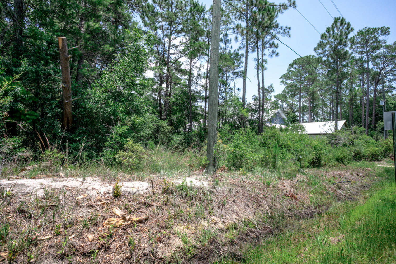 Lot 26 East Point Washington Road Santa Rosa Beach, FL 32459 - Photo 11 of 20 Gallery Image 11