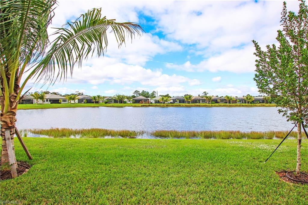11857 Hydrangea Place Naples, FL 34120 - Photo 43 of 50 a view of a lake with houses in the back