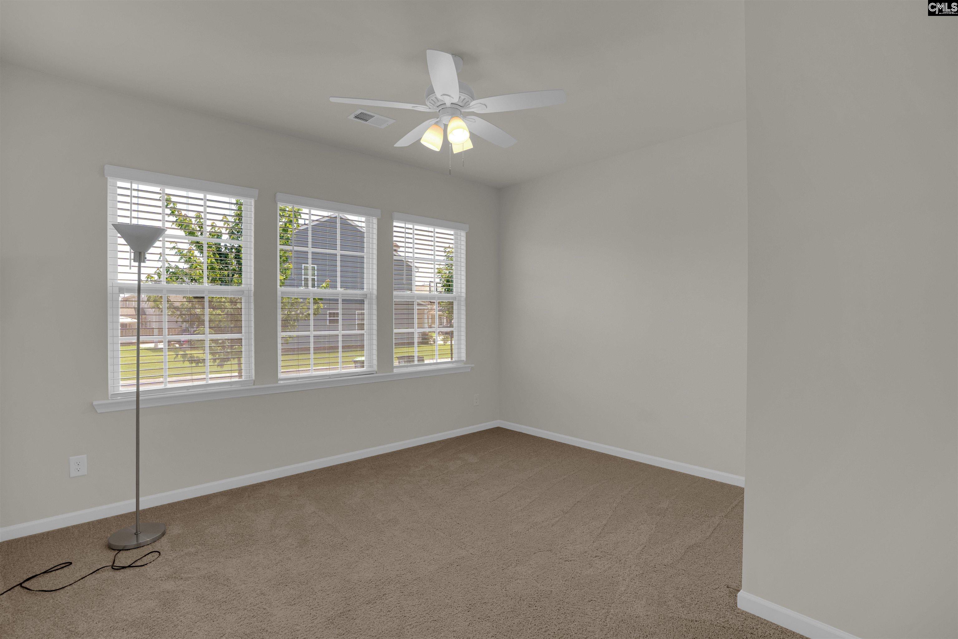 329 Sycamore Crest Way Chapin, SC 29036 - Photo 28 of 43