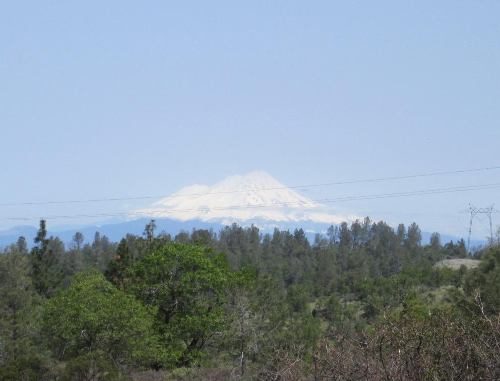 173-acres Shingletown Ridge Road Shingletown, CA 96088 - Photo 15 of 28 Mount Shasta view