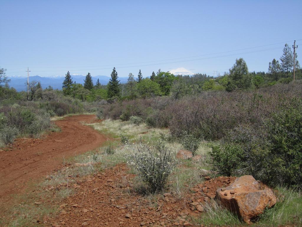 173-acres Shingletown Ridge Road Shingletown, CA 96088 - Photo 16 of 28 Mt Shasta view