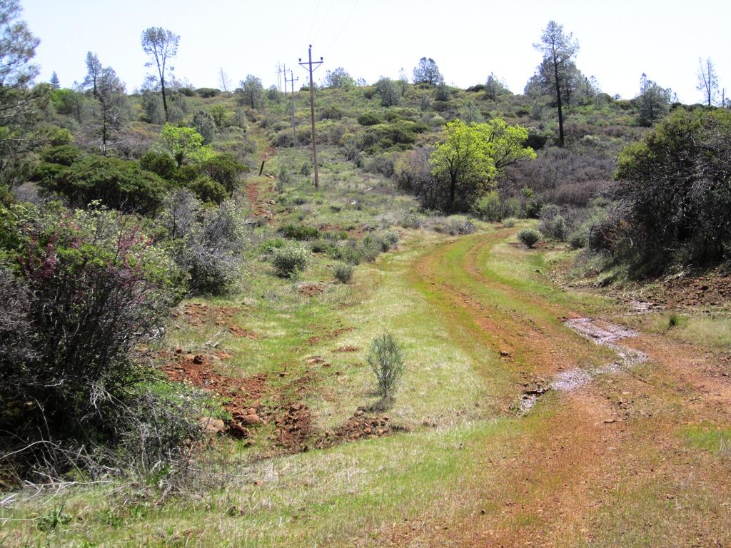 173-acres Shingletown Ridge Road Shingletown, CA 96088 - Photo 17 of 28 power poles