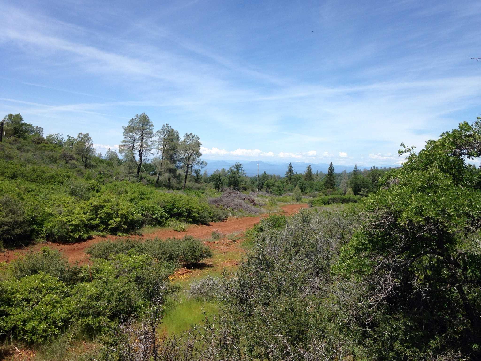 173-acres Shingletown Ridge Road Shingletown, CA 96088 - Photo 18 of 28 Road and terrain