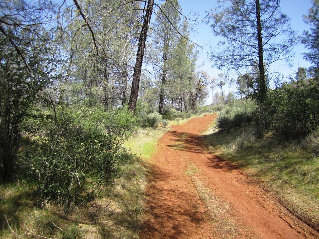 173-acres Shingletown Ridge Road Shingletown, CA 96088 - Photo 19 of 28 Road on prop